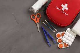 Basic First Aid training only 80 euro